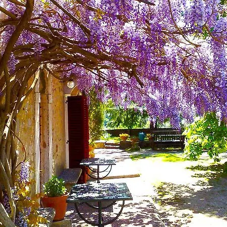 Fattoria Le Pici Farm stay