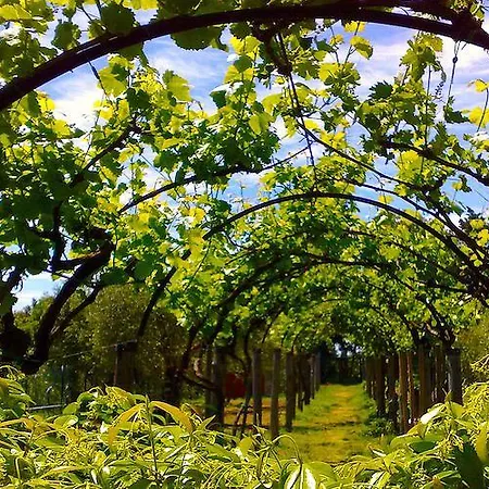 Farm stay Fattoria Le Pici *