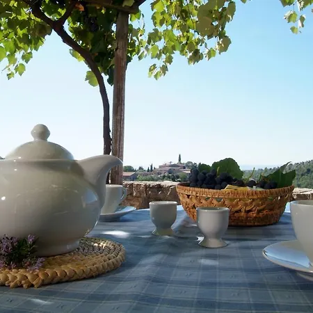 Farm stay Fattoria Le Pici *